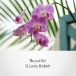 Sony SELP18105G E PZ 18-105mm F4 G OSS , Black - Image 5