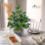 Der Rose Fake Plants Artificial Plants Indoor with Black and White Striped Pots for Room Home Bathroom Bedroom Kitchen Decor - Image 3