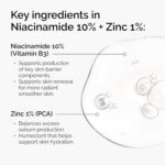 The Ordinary Niacinamide 10% + Zinc 1%, Smoothing Serum for Blemish-Prone Skin - Image 4