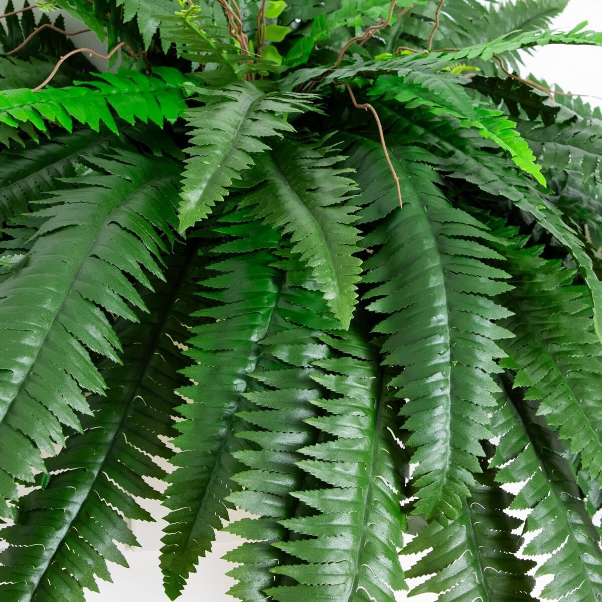 Nearly Natural 48-in Artificial Boston Fern, Set of 2, Large Hanging Fake Plant Wall Decor with 67 Fronds, Faux Fern Vines that Look Real for Home and Office Decor - Image 3