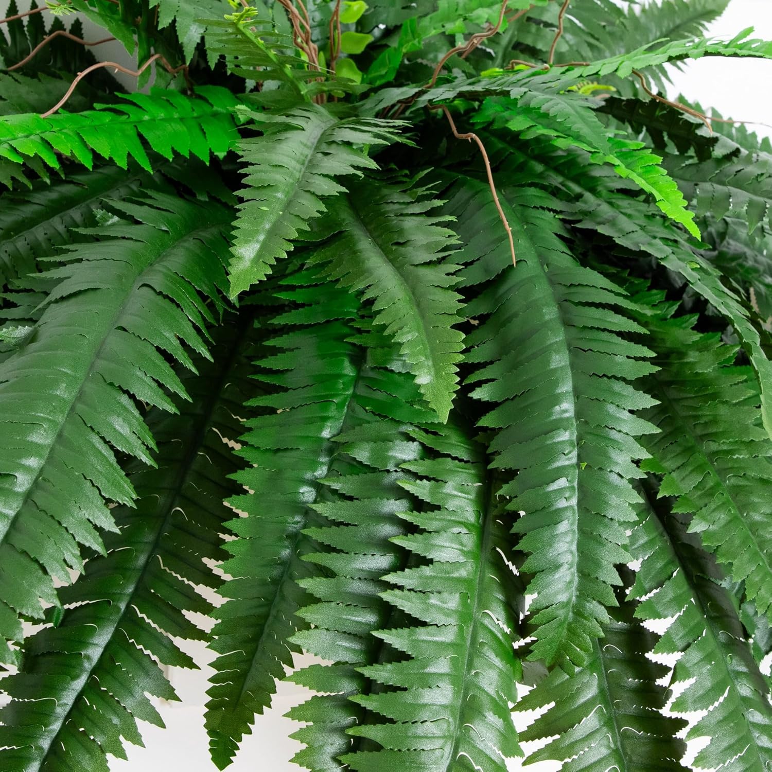 1759693527_Nearly-Natural-48-in-Artificial-Boston-Fern-Set-of-2-Large-Hanging-Fake-Plant-Wall-Decor-with-67-Fronds-Faux-Fern-Vines-that-Look-Real-for-Home-and-Office-Decor.jpg Nearly Natural 48-in Artificial Boston Fern, Set of 2, Large Hanging Fake Plant Wall Decor with 67 Fronds, Faux Fern Vines that Look Real for Home and Office Decor - Image 3