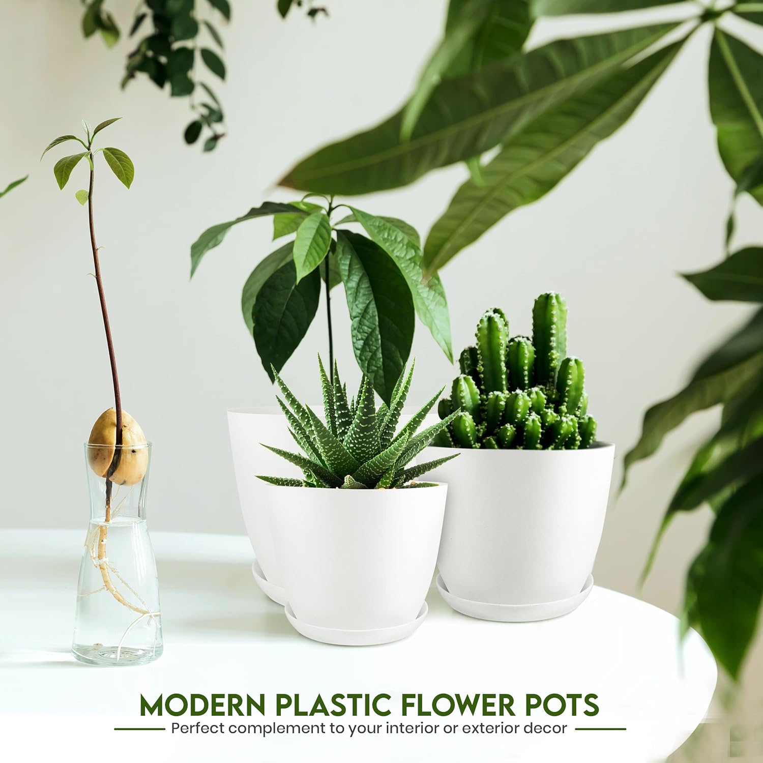 1759821187_Utopia-Home-Plant-Pots-Indoor-with-Drainage-76.665.34.8-Inches-Garden-Flower-Pots-for-Indoor-Planter-5-Pack-White-Plastic-Planters-Ideal-for-Stocking-Stuffers-or-Room-Office-Home-Decor.jpg Utopia Home - Plant Pots Indoor with Drainage - 7/6.6/6/5.3/4.8 Inches Garden Flower Pots for Indoor Planter - 5 Pack White Plastic Planters - Ideal for Stocking Stuffers or Room, Office Home Decor - Image 6
