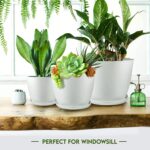 Utopia Home - Plant Pots Indoor with Drainage - 7/6.6/6/5.3/4.8 Inches Garden Flower Pots for Indoor Planter - 5 Pack White Plastic Planters - Ideal for Stocking Stuffers or Room, Office Home Decor - Image 7