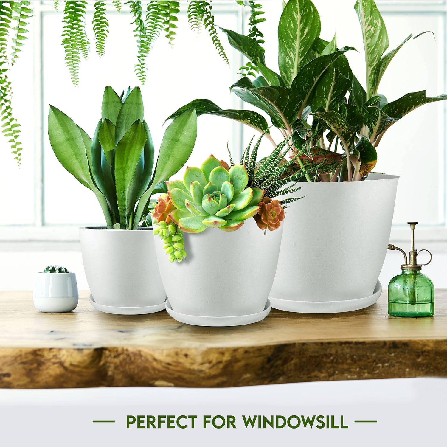 1759821189_Utopia-Home-Plant-Pots-Indoor-with-Drainage-76.665.34.8-Inches-Garden-Flower-Pots-for-Indoor-Planter-5-Pack-White-Plastic-Planters-Ideal-for-Stocking-Stuffers-or-Room-Office-Home-Decor.jpg Utopia Home - Plant Pots Indoor with Drainage - 7/6.6/6/5.3/4.8 Inches Garden Flower Pots for Indoor Planter - 5 Pack White Plastic Planters - Ideal for Stocking Stuffers or Room, Office Home Decor - Image 7