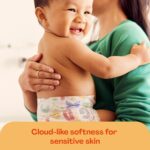 Hello Bello Premium Diapers Size NB, Safari Squad & Shine and Dandy Designs, 76ct Club Box - Image 4