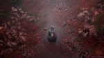 Silent Hill f - PlayStation 5, Amazon Exclusive Day One Edition - Image 7