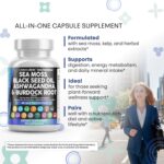 Clean Nutraceuticals Sea Moss Black Seed Oil Ashwagandha Turmeric Bladderwrack Burdock & Vitamin C Vitamin D3 with Elderberry Manuka Dandelion Yellow Dock Iodine Chlorophyll ACV - Image 7