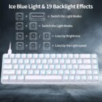 DIERYA T68SE 60% Gaming Mechanical Keyboard,Ultra Compact Mini 68 Key with Red Switches Wired Keyboard,Anti-Ghosting Keys, for Windows Laptops and PC Gamers,White - Image 6