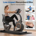 Niceday Recumbent Exercise Bike, Recumbent Bike for Home, Recumbent Stationary Bike 400LBS Weight Capacity, Magnetic Recumbent Bike with Smart APP, LCD Monitor, Heart Rate Handle - Image 3