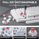 EPOMAKER Aula F75-Wired 75% Gaming Keyboard with Knob, Shine Through ABS Keycap, Gasket Structure, Programmable, Hot Swappable Creamy Mechanical Keyboard for Games/Office (White) - Image 7