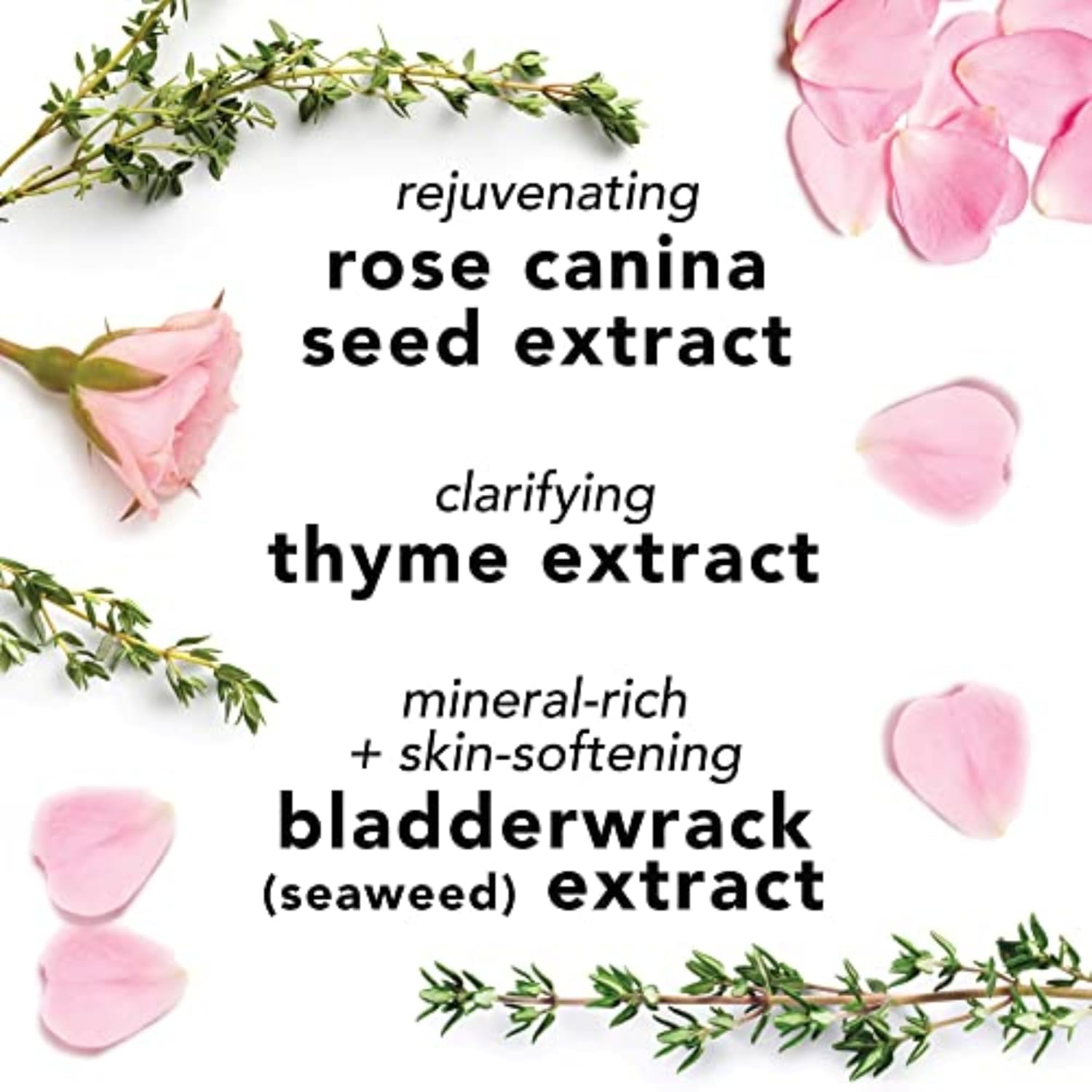 1760654276_Mario-Badescu-Facial-Spray-with-Aloe-Herbs-and-Rose-Water-for-All-Skin-Types-Face-Mist-that-Hydrates-Rejuvenates-Clarifies.jpg Mario Badescu Facial Spray with Aloe, Herbs and Rose Water for All Skin Types, Face Mist that Hydrates, Rejuvenates & Clarifies - Image 5