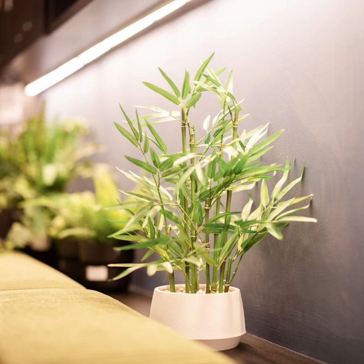 365 Blooming Decor 18 Inch Tall White Potted Faux Bamboo Plant - Luxury Artificial Bamboo in White Pot for Home, Office, Kitchen, Counter Top, Indoor Decor, Money Tree, Lucky Tree - Image 7