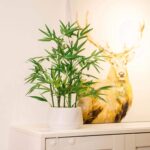365 Blooming Decor 18 Inch Tall White Potted Faux Bamboo Plant - Luxury Artificial Bamboo in White Pot for Home, Office, Kitchen, Counter Top, Indoor Decor, Money Tree, Lucky Tree - Image 8