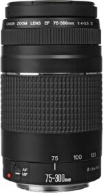 Canon EOS Rebel T7 DSLR Camera|2 Lens Kit with EF18-55mm + EF 75-300mm Lens + 64Gb Memory, LED Video Light, Case, Tripod, Filters, Grip & More(32pc Bundle) (Renewed) - Image 5
