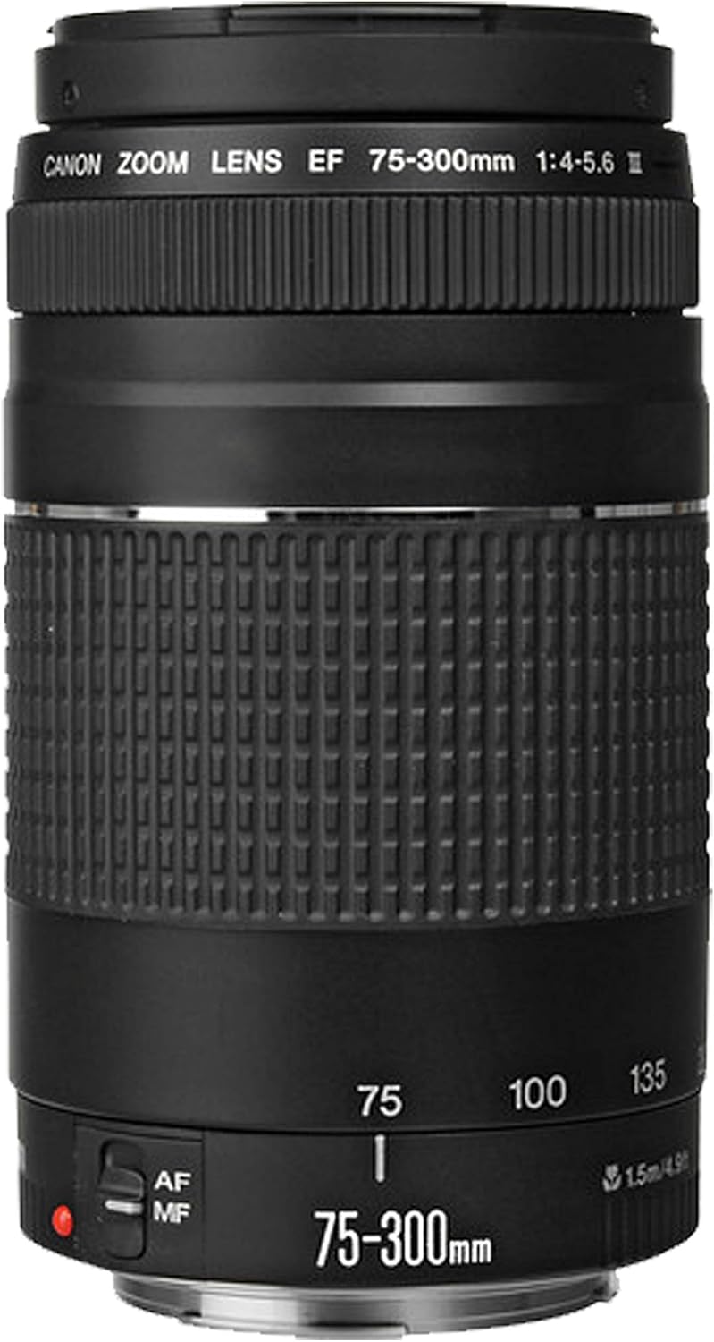1760929680_Canon-EOS-Rebel-T7-DSLR-Camera2-Lens-Kit-with-EF18-55mm-EF-75-300mm-Lens-64Gb-Memory-LED-Video-Light-Case-Tripod-Filters-Grip-More32pc-Bundle-Renewed.jpg Canon EOS Rebel T7 DSLR Camera|2 Lens Kit with EF18-55mm + EF 75-300mm Lens + 64Gb Memory, LED Video Light, Case, Tripod, Filters, Grip & More(32pc Bundle) (Renewed) - Image 5