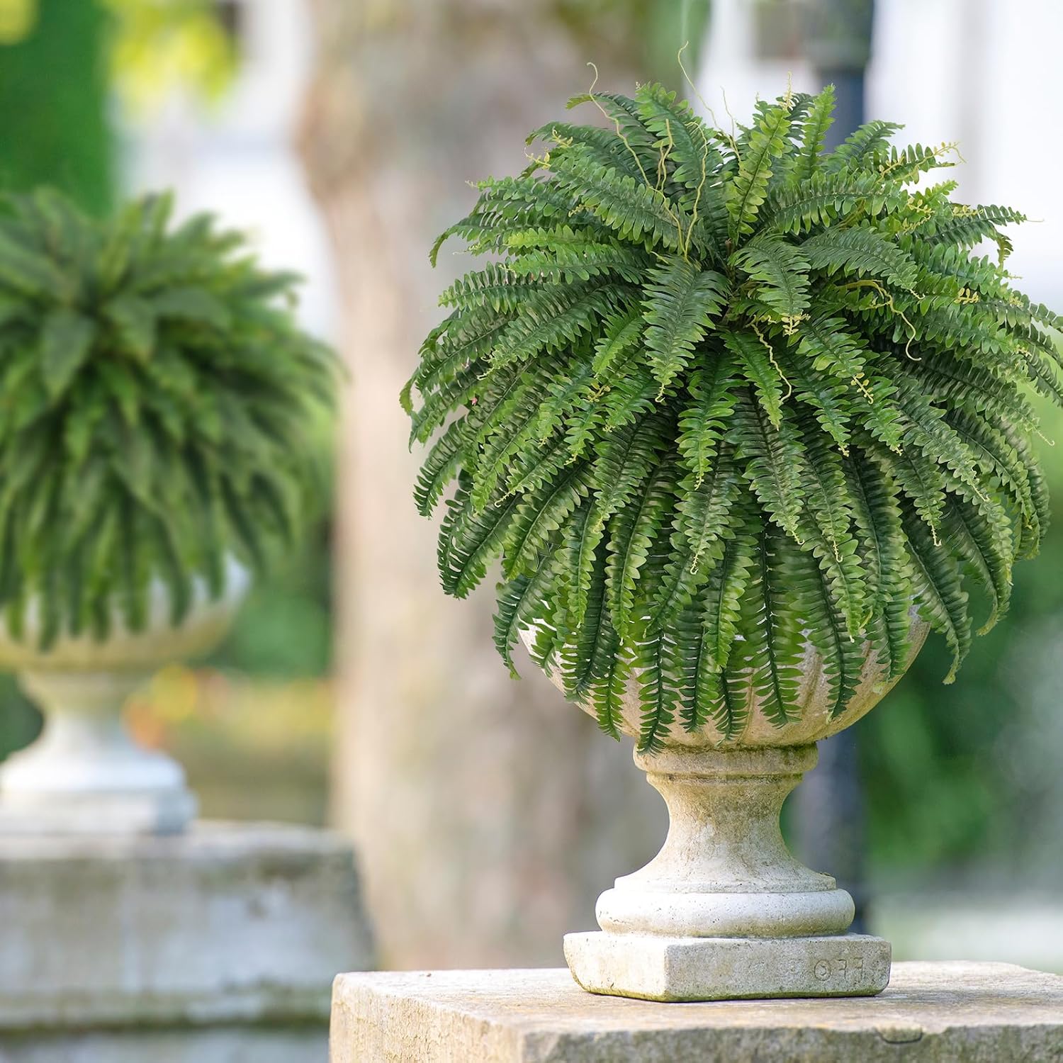1761120627_50-Artificial-Boston-Ferns-Fake-Bush-Plants-Large-Faux-Ferns-with-96-Fronds-for-Outdoors-Home-Decor.jpg 50" Artificial Boston Ferns, Fake Bush Plants, Large Faux Ferns with 96 Fronds for Outdoors Home Decor - Image 8