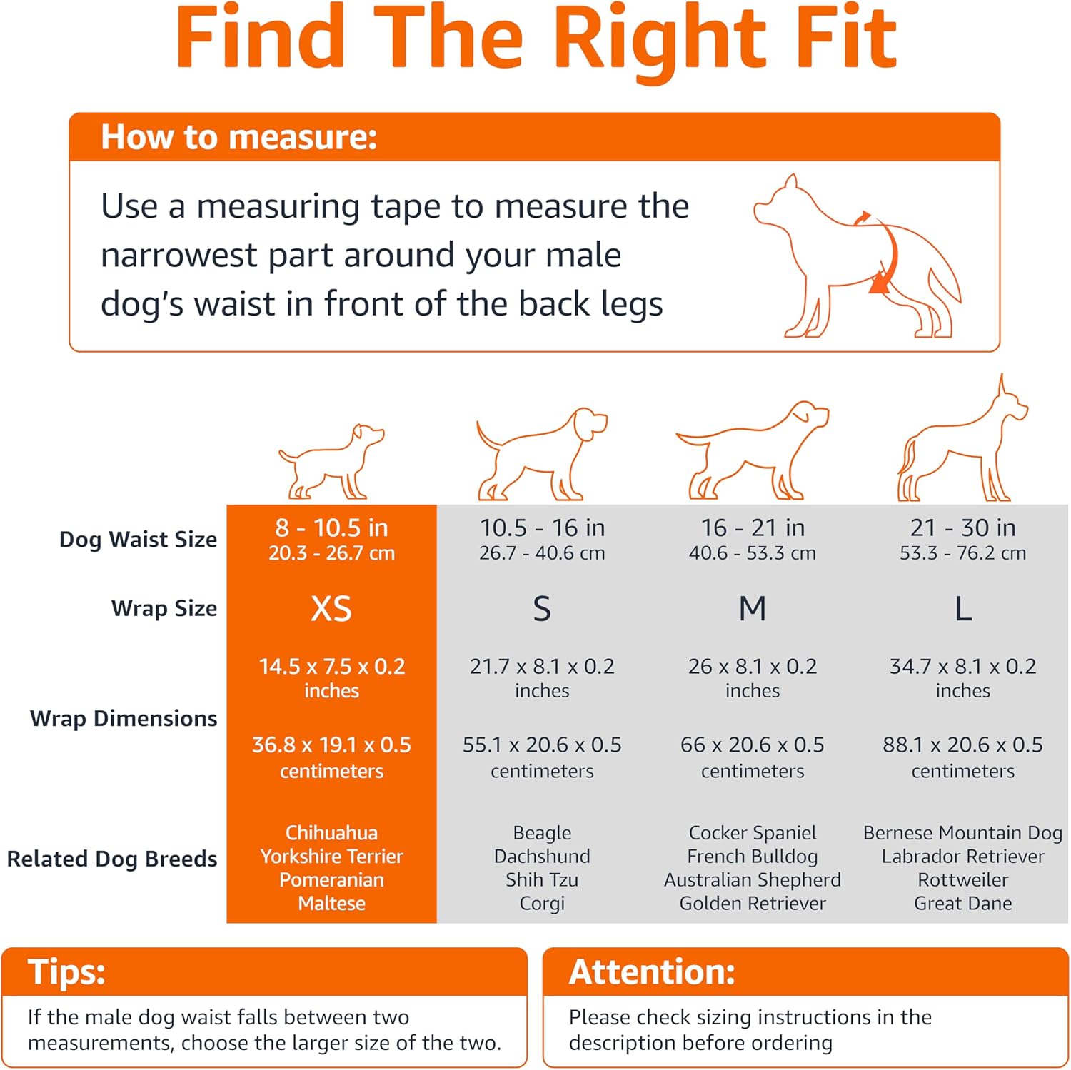 1761254836_Amazon-Basics-Male-Dog-Diapers-30-Count-X-Small-Ultra-Absorbent-Disposable-Wrap-with-Secure-Fit-Leakproof-and-Comfortable.jpg Amazon Basics Male Dog Diapers, 30 Count, X-Small, Ultra Absorbent Disposable Wrap with Secure Fit, Leakproof and Comfortable - Image 5