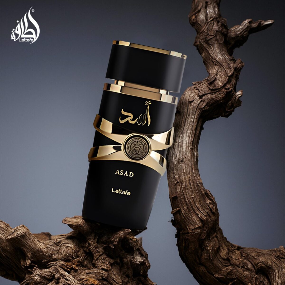 Lattafa Perfumes Asad for Unisex Eau de Parfum Spray, 3.4 Ounce - Image 8