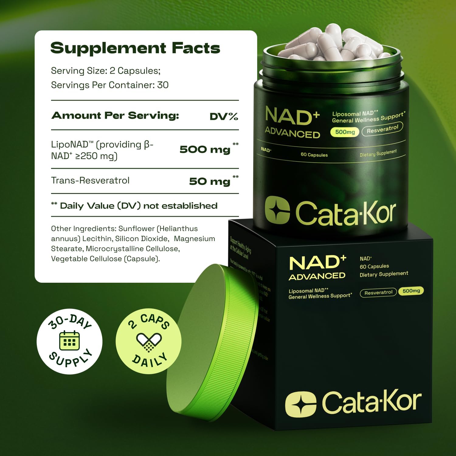1761346689_Liposomal-NAD-Supplement-with-Resveratrol-–-NMN-Supplement-Alternative-–-Third-Party-Tested-–-Advanced-NAD-Resveratrol.jpg Liposomal NAD+ Supplement with Resveratrol – NMN Supplement Alternative – Third-Party Tested – Advanced NAD Resveratrol - Image 7