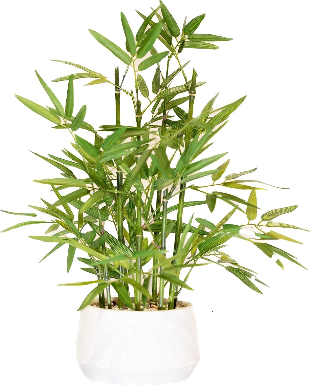 365 Blooming Decor 18 Inch Tall White Potted Faux Bamboo Plant - Luxury Artificial Bamboo in White Pot for Home, Office, Kitchen, Counter Top, Indoor Decor, Money Tree, Lucky Tree - Image 2