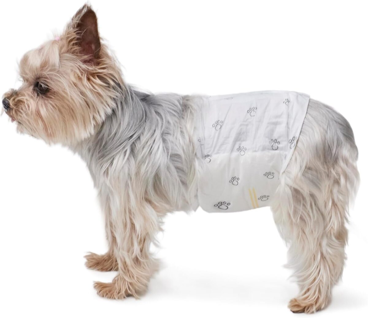 Amazon Basics Male Dog Diapers, 30 Count, X-Small, Ultra Absorbent Disposable Wrap with Secure Fit, Leakproof and Comfortable - Image 2