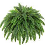 Single Silky Artificial Boston Fern Bush, 49Inch Large Artificial Ferns for Outdoors, Large Faux Ferns Artificial Plants,Suitable for Decorating Office, Living Room Faux Greenery,95Branches - Image 2