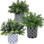 Winlyn 3-Pack Artificial Potted Plants - Faux Eucalyptus, Rosemary, Boxwood Greenery in Small Black & White Geometric Concrete Pots -Desk, Table, Shelf, Windowsill Decor for Indoor Outdoor Home Office - Image 2