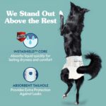 Simple Solution Disposable Dog Diapers, Female Dog Diapers, Puppy Potty Training, Incontinence and Heat Cycle Protection, Large Diapers for Dogs, 18-27 Inch Waist, 30 Count - Image 4