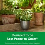 Miracle-Gro Indoor Potting Mix, Blended for a Variety of Houseplants, Feeds for up to 6 Months, 6 qt., 2-Pack - Image 5