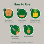 Miracle-Gro Indoor Potting Mix, Blended for a Variety of Houseplants, Feeds for up to 6 Months, 6 qt., 2-Pack - Image 7