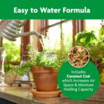 Miracle-Gro Indoor Potting Mix, Blended for a Variety of Houseplants, Feeds for up to 6 Months, 6 qt., 2-Pack - Image 8