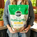 Miracle-Gro Indoor Potting Mix, Blended for a Variety of Houseplants, Feeds for up to 6 Months, 6 qt., 2-Pack - Image 10