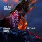 Drakkar Noir By Guy Laroche - Iconic Designer Fragrance - Intense & Powerful Eau de Toilette - Fougere Blend & Aromatic Spices - Long Lasting Mens Cologne - Day and Evening Scent - Image 4