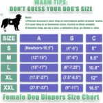 wegreeco Washable Reusable Premium Female Dog Diapers, Medium Large Small Dog Doggie Puppy & Doggy Diapers Female,Period Panties in Heat (Pack of 3, Medium) - Image 3