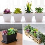 Anoak Artificial Succulent Plants - 16 Pcs Set Faux Succulents Unpotted Fake Succulent Plants, Premium Crafting DIY Floral Decor for Home Garden Office Party (High Realistic) - Image 4