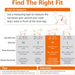 Amazon Basics Male Dog Diapers, 50 Count, Medium, Ultra Absorbent Disposable Wrap with Secure Fit, Leakproof and Comfortable - Image 5