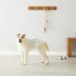 Amazon Basics Male Dog Diapers, 50 Count, Medium, Ultra Absorbent Disposable Wrap with Secure Fit, Leakproof and Comfortable - Image 8