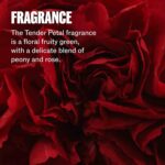 Wella Professionals ULTIMATE REPAIR Miracle Hair Rescue for Damaged Hair | Luxury Leave-In Treatment | Instant, Long-Lasting Repair & Protection in 90 Seconds | All Hair Types - Packaging May Vary - Image 10