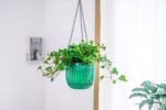 Melphoe 2 Pack Self Watering Hanging Planters Indoor Flower Pots, 6.5 Inch Outdoor Hanging Basket, Plant Hanger with 3Hooks Drainage Holes for Garden Home (Emerald) - Image 9