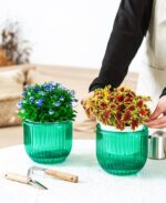 Melphoe 2 Pack Self Watering Hanging Planters Indoor Flower Pots, 6.5 Inch Outdoor Hanging Basket, Plant Hanger with 3Hooks Drainage Holes for Garden Home (Emerald) - Image 10