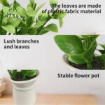 Cutepet 3 Pack Artificial Plants Small Fake Plants, Mini Faux Plants Indoor/Outdoor Potted Plant,Artificial Greenery for Home Office Bathroom Table Decoration - Image 6