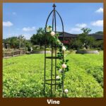 100% Metal Obelisk Garden Trellis 6.3 Feet Tall Sturdy Plant Support for Climbing Vines and Flowers Stands,1pc Upgrade (Bronze, Large) - Image 5