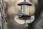 Metal Roof Bird Feeder - Chew Proof for Outdoor Hanging Wild Bird Seeds. Bronze - Image 10
