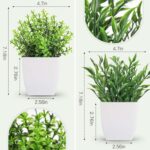Der Rose 2 Pack Fake Plants Mini Artificial Greenery Potted Plants for Home Decor Indoor Office Table Room Farmhouse - Image 3