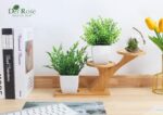 Der Rose 2 Pack Fake Plants Mini Artificial Greenery Potted Plants for Home Decor Indoor Office Table Room Farmhouse - Image 4