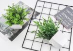 Der Rose 2 Pack Fake Plants Mini Artificial Greenery Potted Plants for Home Decor Indoor Office Table Room Farmhouse - Image 5