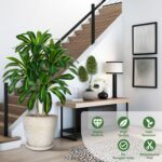 2 Pack Artifical Dracaena Tree Indoor, 4FT Tall Fake Floor Plants with White Planter & Pebbles, Fuax Silk Yucca Tree for Home Office Living Room Bedroom Farmhouse Modern Outdoor Topiary Tree - Image 6