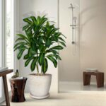 2 Pack Artifical Dracaena Tree Indoor, 4FT Tall Fake Floor Plants with White Planter & Pebbles, Fuax Silk Yucca Tree for Home Office Living Room Bedroom Farmhouse Modern Outdoor Topiary Tree - Image 7