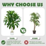 Artifical Dracaena Tree Indoor, 4FT Tall Fake Floor Plants with White Planter & Pebbles, Fuax Silk Yucca Tree for Home Office Living Room Bedroom Farmhouse Modern Outdoor Topiary Tree - Image 4