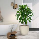 Artifical Dracaena Tree Indoor, 4FT Tall Fake Floor Plants with White Planter & Pebbles, Fuax Silk Yucca Tree for Home Office Living Room Bedroom Farmhouse Modern Outdoor Topiary Tree - Image 6